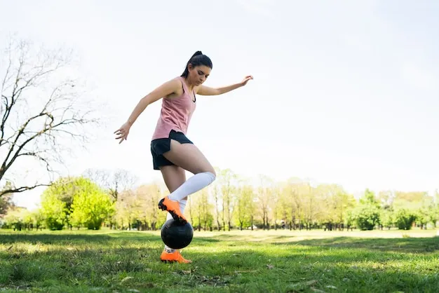 极速体育注册流程图示
