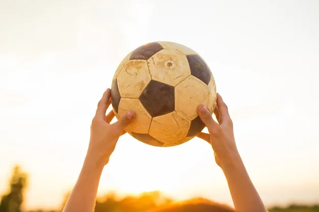 极速体育注册步骤图示